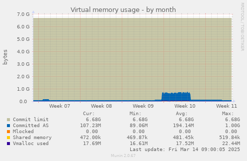 Virtual memory usage